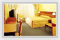  3  Golden Tulip Aeroplane